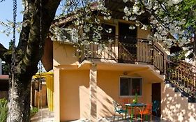 Cherry Tree Art House