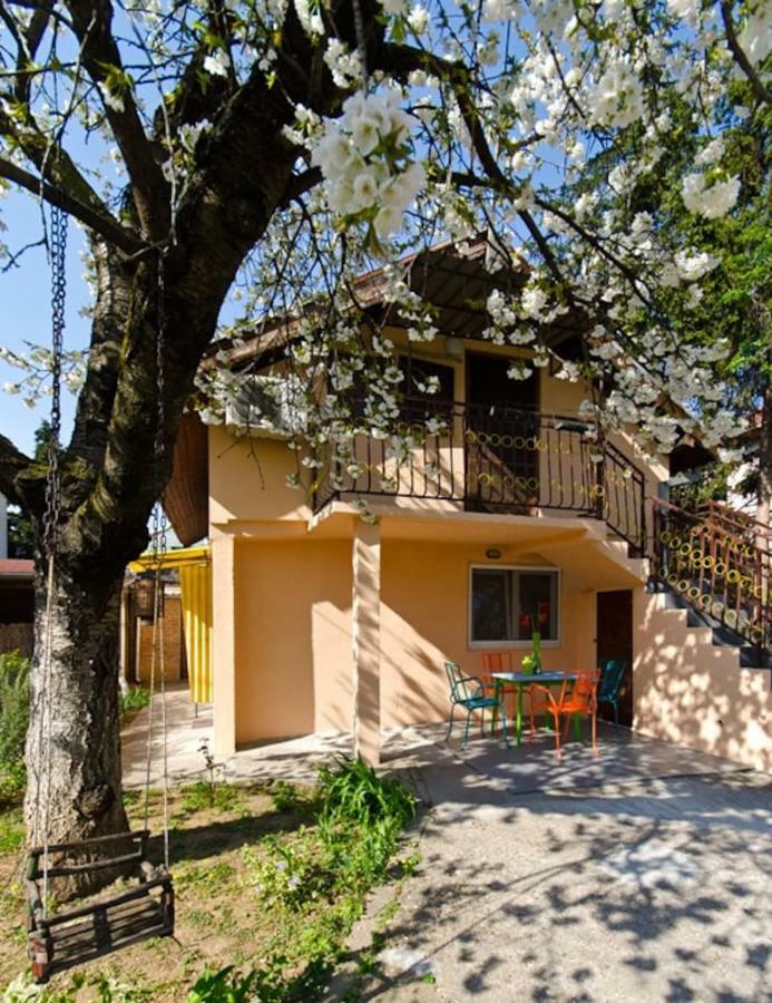 Cherry Tree Art House Белград Экстерьер фото