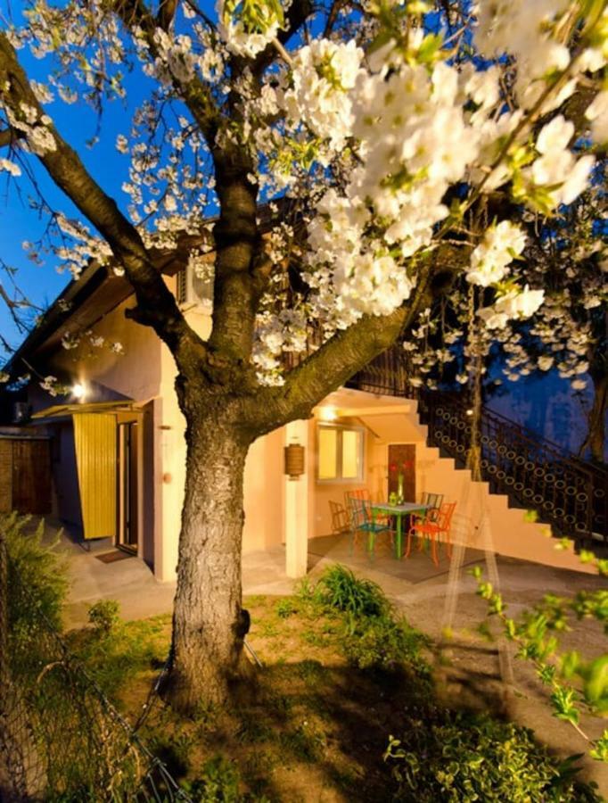Cherry Tree Art House Белград Экстерьер фото